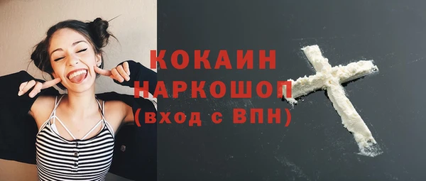дмт Ладушкин