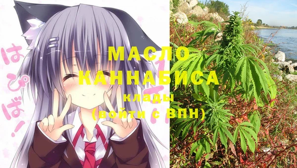 дмт Ладушкин