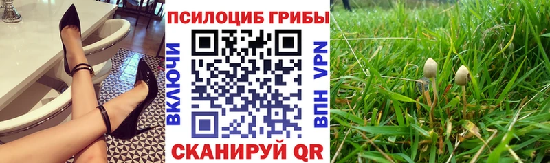 это формула  Опочка  Галлюциногенные грибы Psilocybine cubensis  mega зеркало 